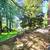 Lovely Home in Silver Spring! $1,000 Off First Month's Rent! 20 thumbnail