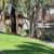 A canvas for your dreams: Experience our spacious 1 BR today! 18 thumbnail
