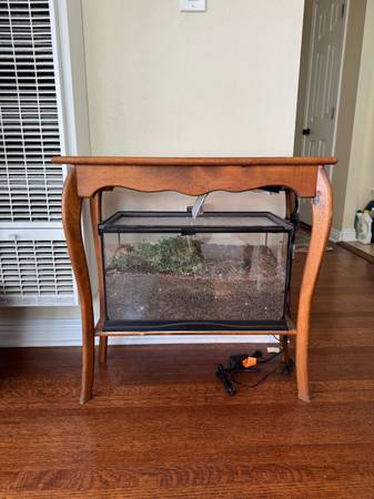 Side Table with Integrated Terrarium 1