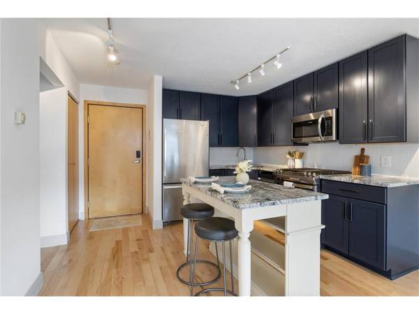 $119,900 / 1br - 500ft2 - Remodeled Stunning 1 Bedroom Condo in Minneapolis (Minneapolis)63868701704195122