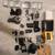 GoPro Hero 3+ Black Ribcage Backbone Modded Camera Bundle W/ Extras 1 thumbnail