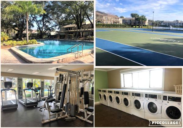 $999 / 450ft2 - Studio available with huge walk in closet $999 (tampa)63991086111875121