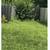 Yard Care ,Tenants care, General  Handy repair person 2 thumbnail