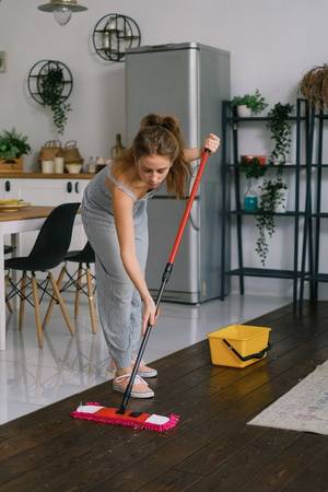House cleaning 1