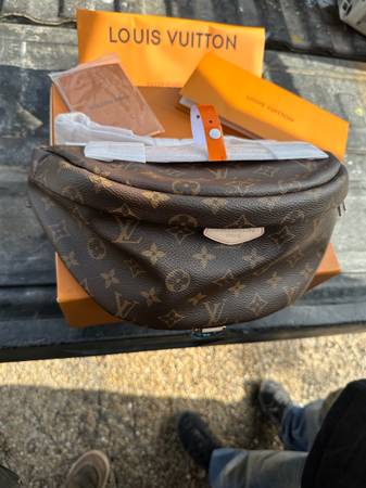 Louis Vuitton purse 1