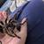 ISO Tarantula Care Tips/possinle new home for spider 2 thumbnail