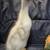 Ducklings 3 thumbnail