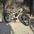 CSC FT1000MD Ultra Fat tire bike bafang Ultra motor 1 thumbnail