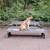 Dog training 7 thumbnail