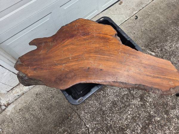 Thick Live Edge Coffee Table Slab & Base
