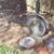 Heavy Duty 9" Angle Grinder 9" or 7" with a 2HP motor 2 thumbnail