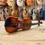 Panetto Strings Model 130 4/4 Cello w/Case **Gravity Music Gear 22 thumbnail