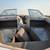 Boat 9 thumbnail