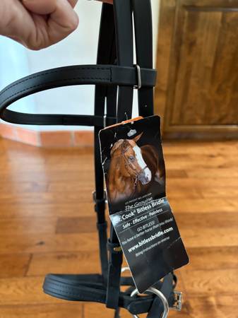 Dr. Cook’s Bit less Bridle 1