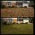 Leaf Removal 3 thumbnail