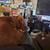 Free to good home, 2 American Staffordshire Terriers/ Red Nose 2 thumbnail