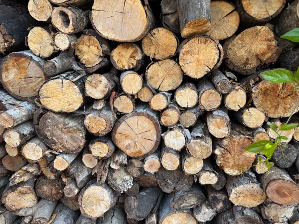Firewood 1
