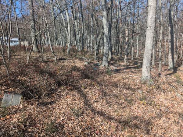$16,000 0.6 AC of Trees UNRESTRICTED (Largent)63953076024450120