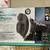 Flotec Well Pump 1 thumbnail
