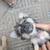 Puppies 2 thumbnail