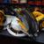DEWALT TOOLS 2 thumbnail