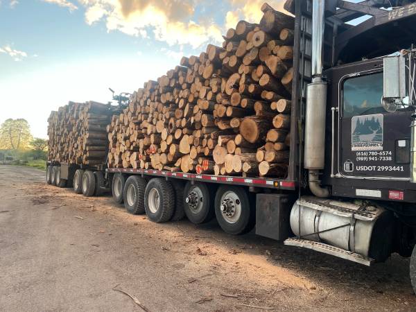 Kalamazoo Fire wood Truck Load 1