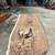 Live Edge Slabs ~ Please Read Description! 8 thumbnail