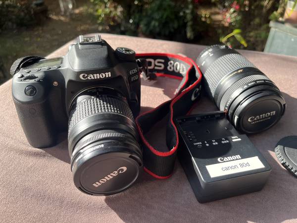 Canon EOS 80D 1