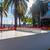Don’t Miss This Rare Find in Jack London Square in Oakland 20 thumbnail