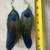 Earrings 1 thumbnail