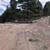 19 ac Land Property For Sale Borders Public Land, Private Road 18 thumbnail