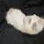 Ragdoll kitten 2 thumbnail