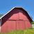 Professional House Painter & Pressure Washing Services 12 thumbnail