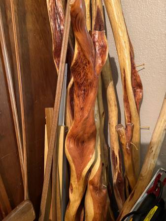 Diamond willow 1