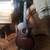 Taylor Next Generation 324ce Acoustic-Electric 1 thumbnail