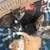 Kittens for free 9 thumbnail