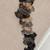 Cane Corso pups for adoption 1 thumbnail