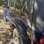 2003 Jeep TJ 5 thumbnail