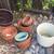 Lawn Grafter, Watering Pots, Saw, plants 6 thumbnail