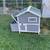 Chickens Supplies & Coops for sale 14 thumbnail