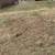 Smith's Tree Service. And stump removal. Land clearing . 8 thumbnail