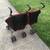 Stroller DOUBLE Stroller 3 thumbnail