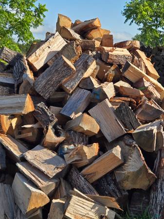 Oak firewood and lumber 1