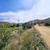 Remarkable 5 acre lot with panoramic mountain views 12 thumbnail