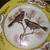 yellow Decorative Bird Plates Set of 6 3 thumbnail