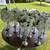 Wedding decor 3 thumbnail