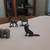 Pewter Collectible Figurines 11 thumbnail