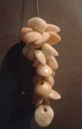 Lost shell necklace Baldwin Beach parking lot 1