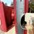 6 ft 87-97 Ford truck bed 1 thumbnail