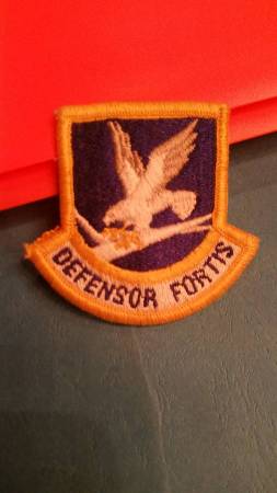 Air Force Defensor Fortis Patch 1